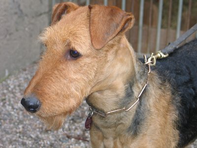 Lilly 14 1/2 Monate alt